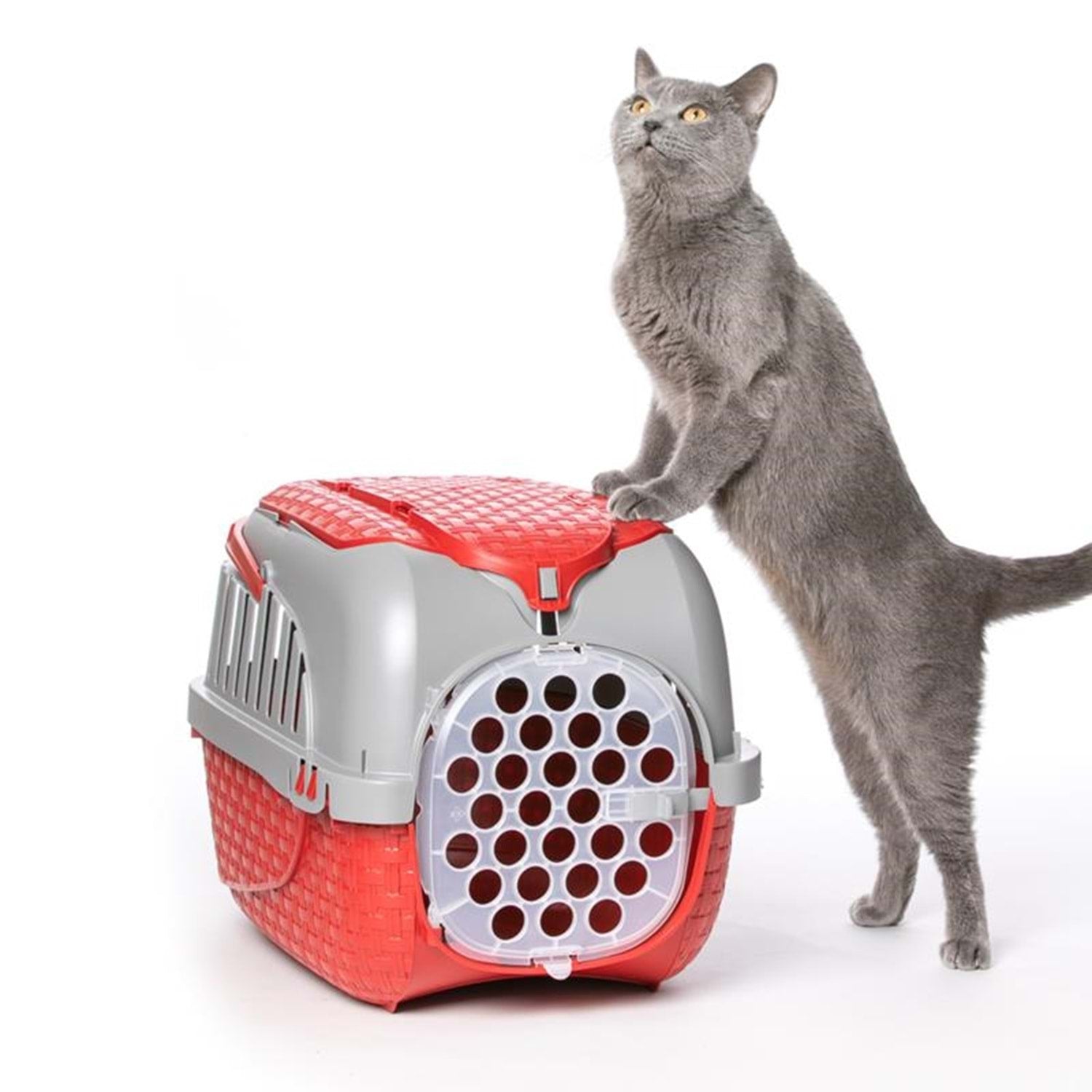 Köpekler Ve Kediler İçin Transporter Bordo 52X33X34 Cm